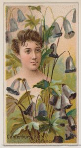 Canterbury Bells: Sabitlik, Çiçek Güzellikleri ve Çiçeklerin Dili N75..., 1892 serisinden. by Donaldson Brothers