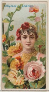 Gülhatmi: Hırs, Floral Beauty and Language of Flowers N75 serisinden Duk için..., 1892.