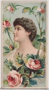Moss Rose: Aşkın İtirafı, Çiçek Güzellikleri ve Çiçeklerin Dili N7..., 1892 serisinden.