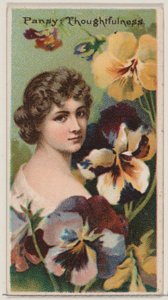 Pansy: Düşüncelilik, D..., 1892 için Çiçek Güzellikleri ve Çiçeklerin Dili N75 serisinden. by Donaldson Brothers