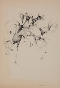 kuşlar by Donatella Merlo