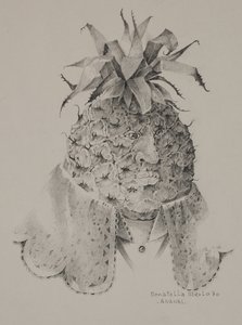 Ananas by Donatella Merlo