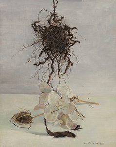 Kök by Donatella Merlo