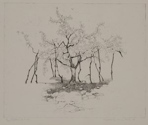 elma ağacı by Donatella Merlo
