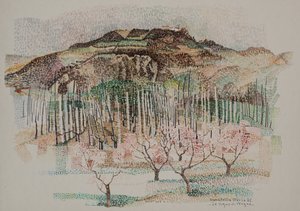 Vergne üzüm bağı by Donatella Merlo