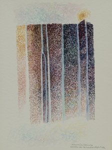 Tronador Şelaleleri, Arjantin