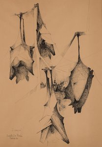 vampirler by Donatella Merlo