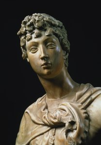 David, kafa detayı, 79334