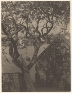  by Doris Ulmann