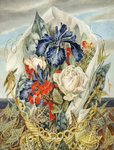 iris ve gül by Dorothy M. Larcher