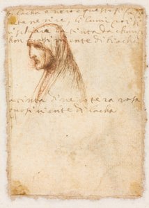 Yaşlı Bir Kadının Göğüs Boyu Profili verso, c. 1521. by Dosso Dossi