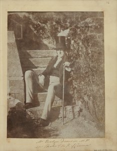 Bay Evelyn Denison by Dr. John Adamson