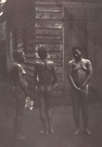 Üç Madagaskarlı Kadın Plakası 30, 1863.