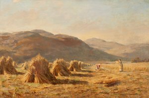 Dumyat Yakınında Hasat, Ochil Tepeleri (tuval üzerine yağlı boya) by Duncan Cameron
