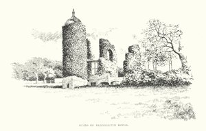 Brambletye Evi