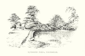 Squerryes Göletleri, Westerham (lito) by Duncan Moul