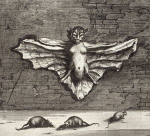 Athanasius Kircher (1601-80) 1667 tarafından resimlenen Çin