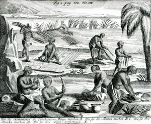 Hottentot