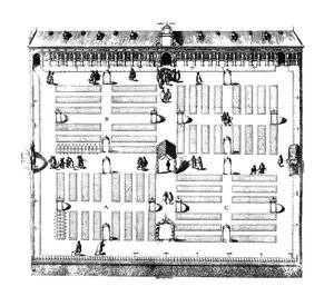 Leiden Botanik Bahçesi by Dutch School