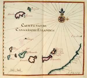 Madeira ve Kanarya Adaları by Dutch School