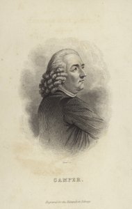 Peter Kampçı by Dutch School