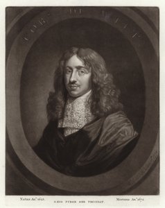 Cornelis de Witt