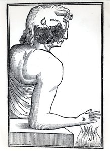 Duyuların Algısı, De Homine Figuris