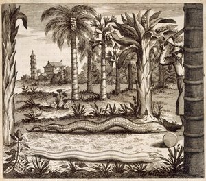 Athanasius Kircher (1601-80) 1667 Tarafından Resimlenen Çin