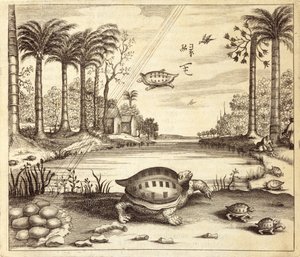 Athanasius Kircher (1601-80) 1667 tarafından resimlenen Çin