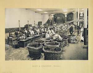 Moet & Chandon, Epernay tarafından yayınlanan La France Vinicole