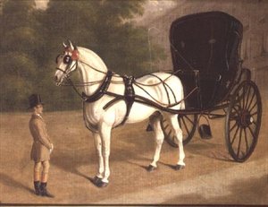 Damatlı Gri Bir At ve Cabriolet by E.M. Fox
