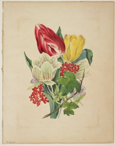 Lale Buketi, Flora'nın Sözlüğünden, 1838