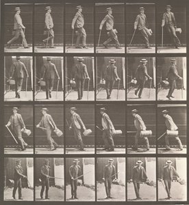 Hayvan Hareketi. Hayvan Hareketlerinin Elektro-Fotoğrafik İncelemesi... Başla..., 1880