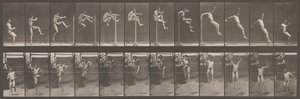 Hayvan Hareketi. Hayvanların Ardışık Evrelerinin Elektro-Fotoğrafik Olarak İncelenmesi ..., 1880
