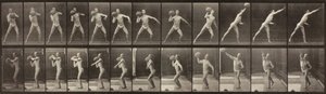 Hayvan Hareketi, Levha 319, 1887. by Eadweard Muybridge