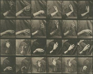 Hayvan Hareketi, Levha 535, 1887. by Eadweard Muybridge