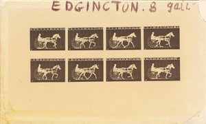 Atlar için Negatif. tırıs. Abe Edgington. 28, 1878. by Eadweard Muybridge