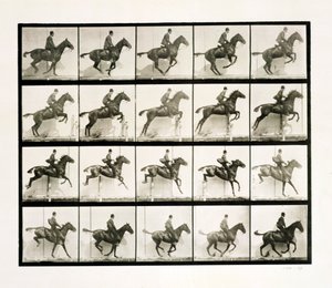 Adam ve at çitten atlıyor, 1887 by Eadweard Muybridge
