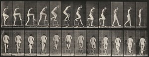 Plaka Numarası 180. Bir sandalyenin üzerine çıkmak, 1887. by Eadweard Muybridge
