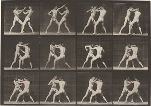 Plaka Numarası 340. Boks, açık el ayakkabıları, 1887. by Eadweard Muybridge