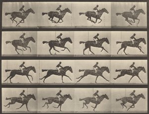 Plaka Numarası 626. Dörtnala, safkan defne kısrağı, Annie G., 1887. by Eadweard Muybridge
