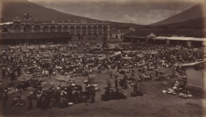 Plaza ve Viceroy