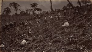 Antigua de Guatemala