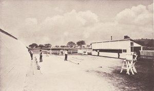 Anlık Fotoğrafta Gösterilen Hareket Halindeki At. Hayvanlar Üzerinde Bir Araştırma ile..., 1881-1882. by Eadweard Muybridge