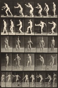  by Eadweard Muybridge