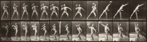  by Eadweard Muybridge