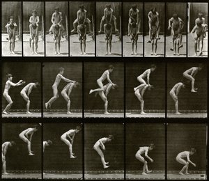Hayvan Hareketleri by Eadweard Muybridge