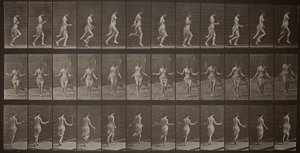 Hayvan Hareketleri, Levha 174 by Eadweard Muybridge