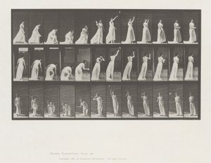 Hayvan Hareketi, Plaka 305 by Eadweard Muybridge