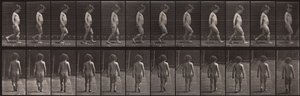 Hayvan Hareketi, Plaka 467 by Eadweard Muybridge